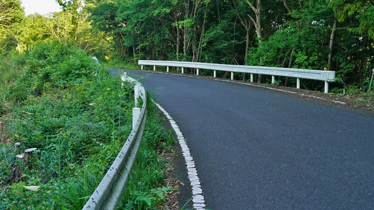 諸沢宿の宿坂のヤマユリの開花の様子写真