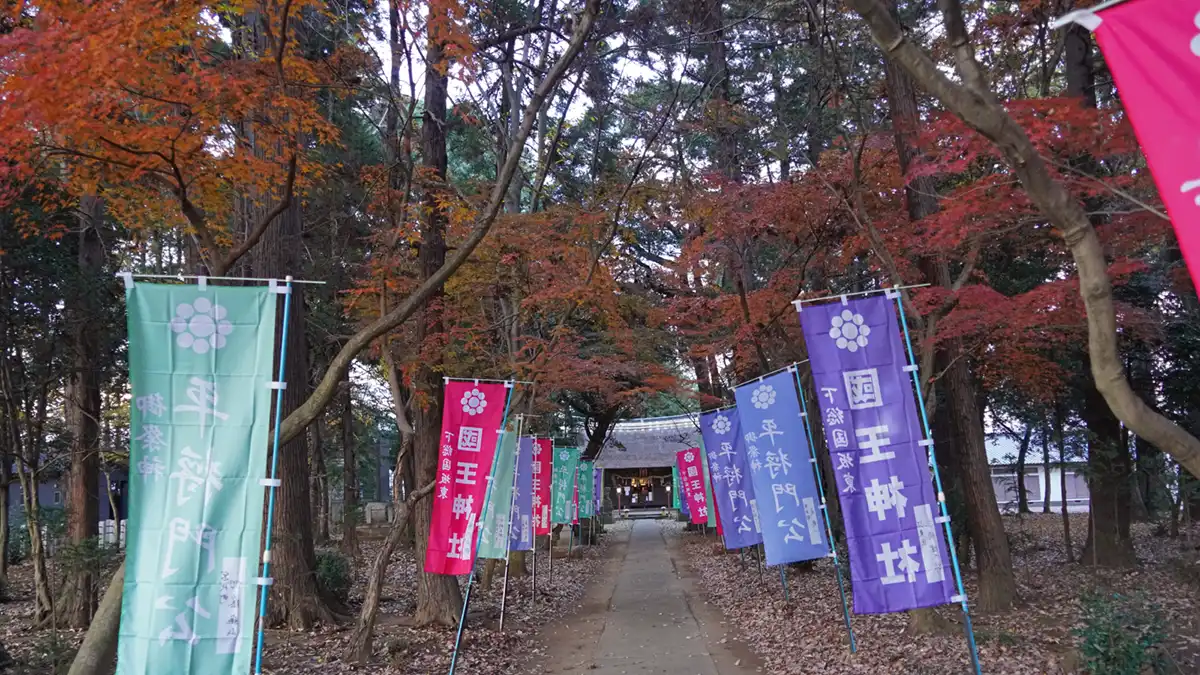 国王神社の参道の紅葉景観写真