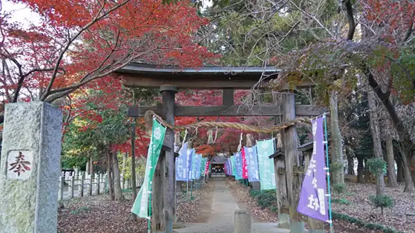 国王神社の鳥居前の紅葉景観写真