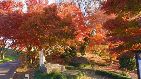 坂東市の菅生沼の天神山の入口の紅葉景観写真