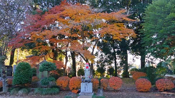 延命院の観音堂・やすらぎの地蔵尊前の紅葉景観写真