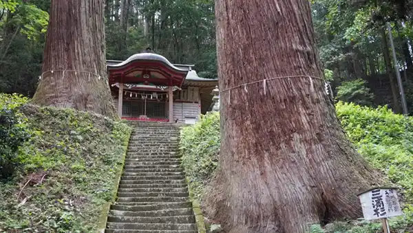 吉田八幡神社の三浦杉の景観写真