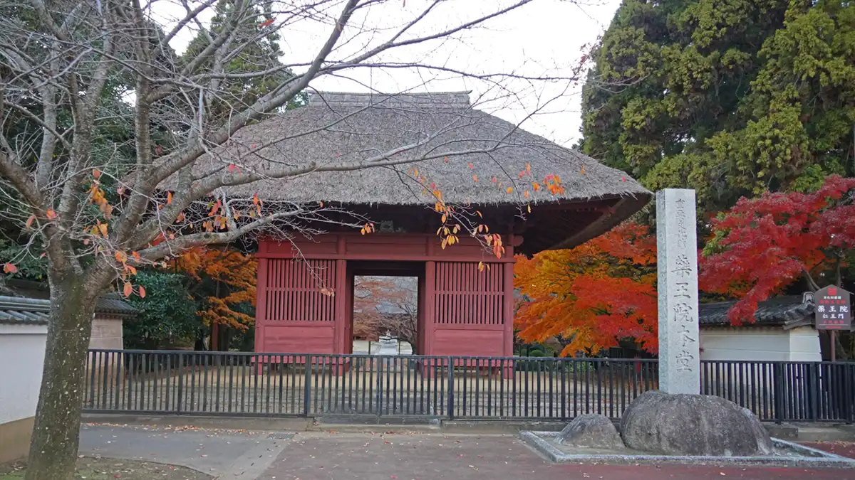 水戸市の薬王院の山門の紅葉景観写真