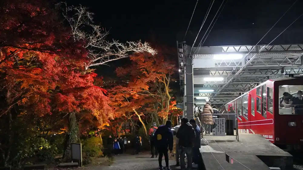 筑波山ケーブルカーの宮脇駅を紅葉の夜景写真