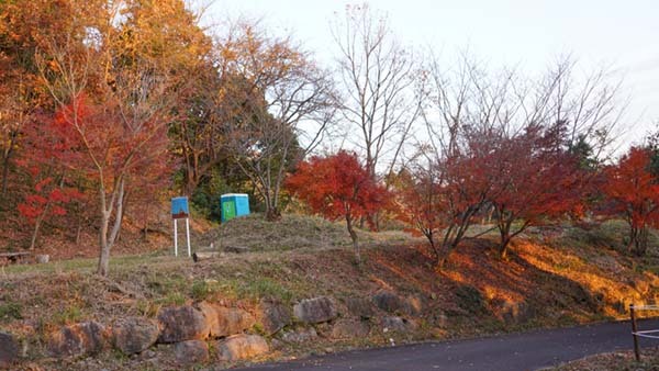 筑波山四季の道広場の紅葉の紅葉景観写真