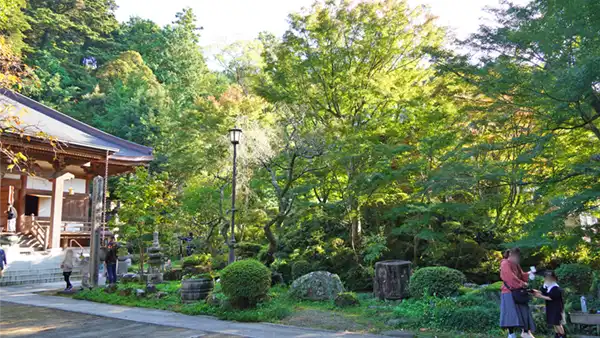 11月3日の普門寺庭園のモミジの景観写真