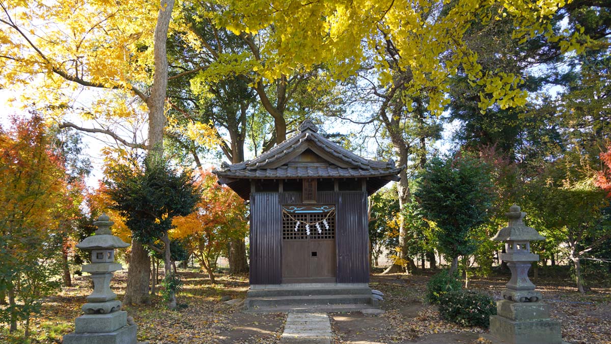 白山神社社殿前から東側の境内広場の景観写真