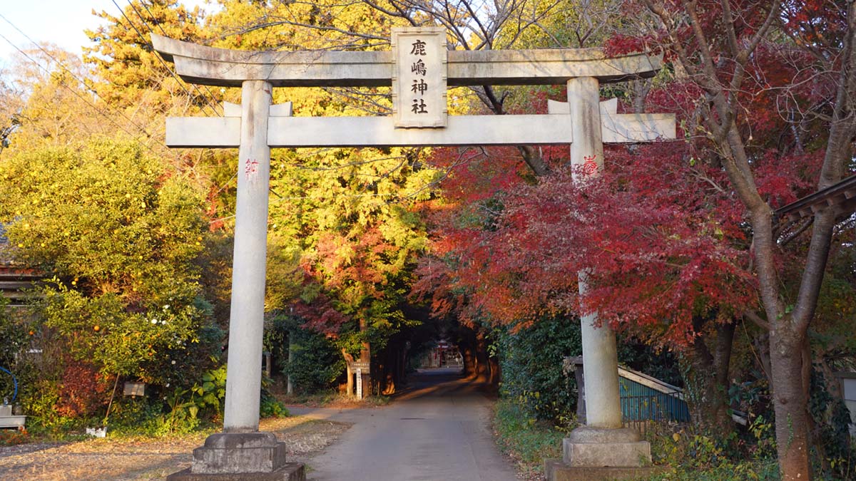 二の鳥居前の日没前の紅葉景観写真