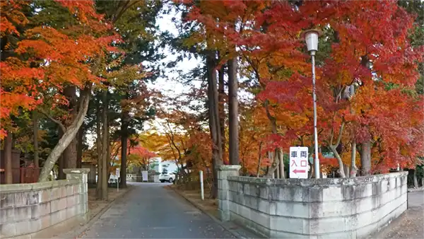 水戸市の薬玉院の車道口の紅葉景観写真