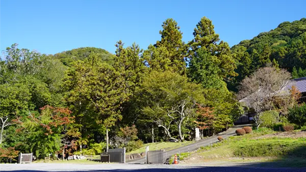 11月7日付の筑波山麓の性山寺の紅葉状況写真