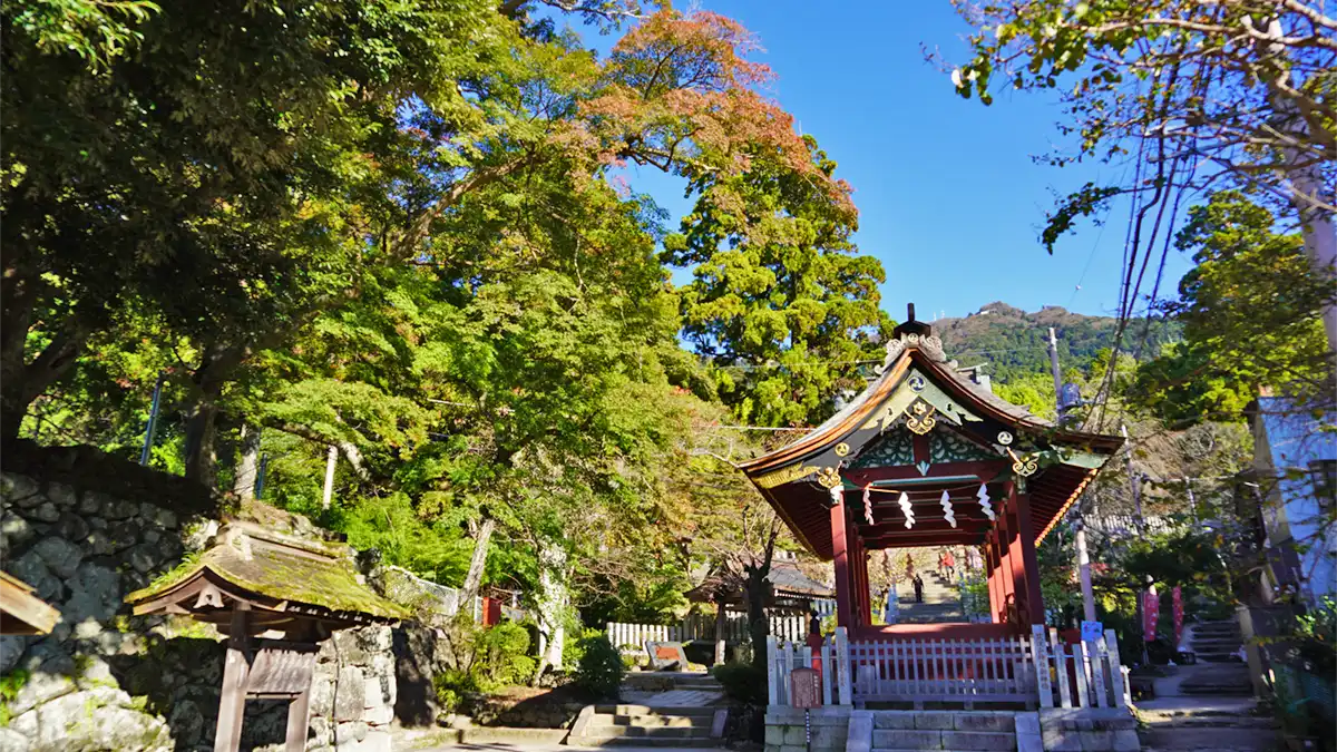 筑波山神社の神橋付近の紅葉状況