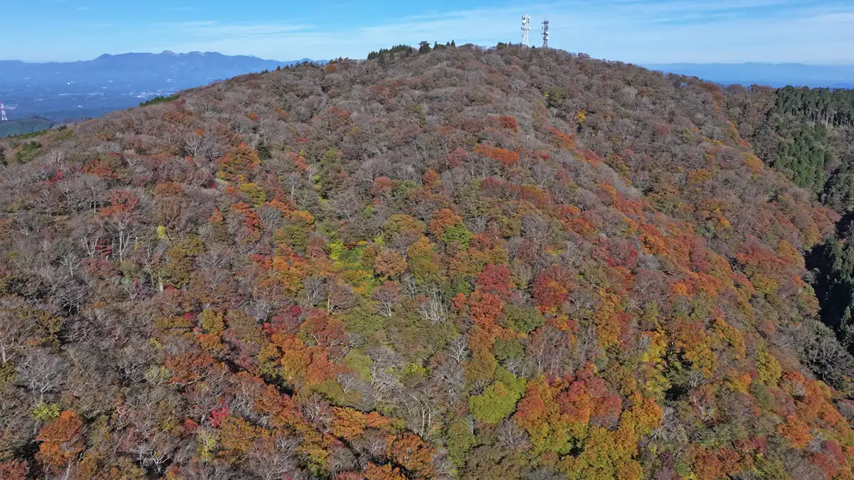 八溝山の山頂付近南側斜面の紅葉景観写真