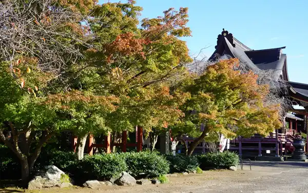 水戸市の桂岸寺の紅葉状況写真