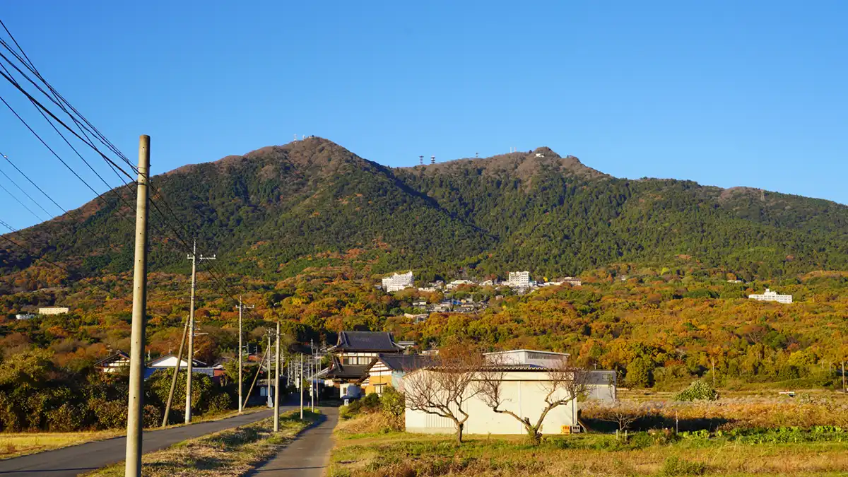 11月30日付：筑波山の紅葉状況写真