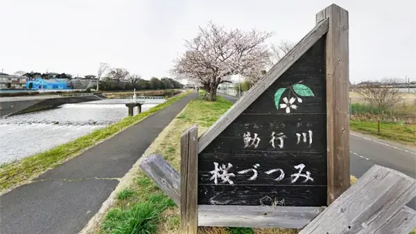 筑西市勤行川桜づつみの案内VRツアー