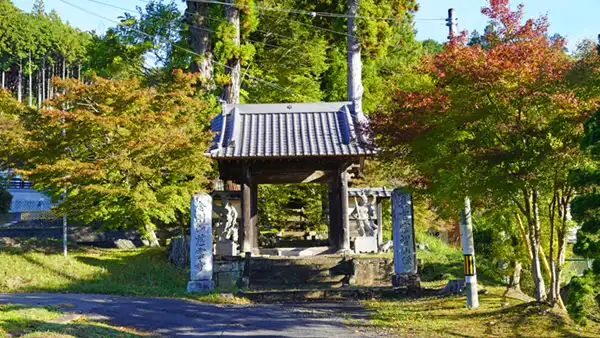 大子町の慈雲寺の山門前の紅葉状況写真