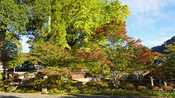 大子町の高徳寺の紅葉状況景観写真