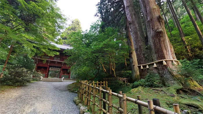 日立市のの御岩山・御岩神社の三本杉と楼門の景観写真