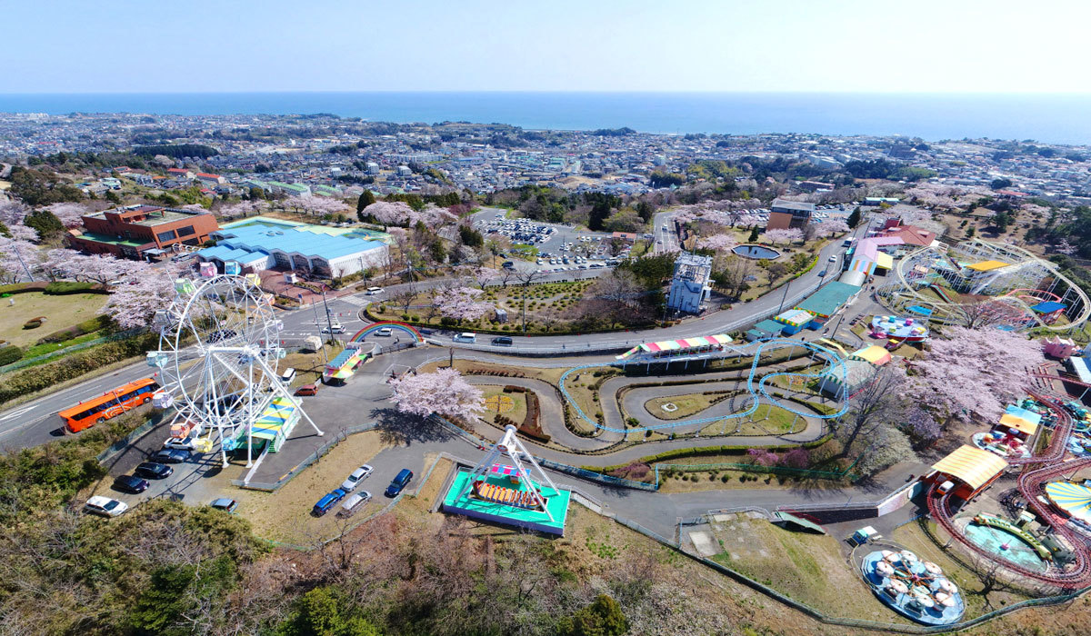 日立市の桜の名所 花見スポット 桜祭り案内 茨城vrツアー