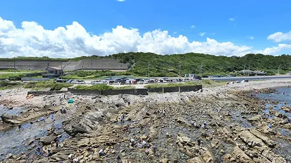 ひたちなか市の磯崎海岸・中生代白亜紀層の景観写真