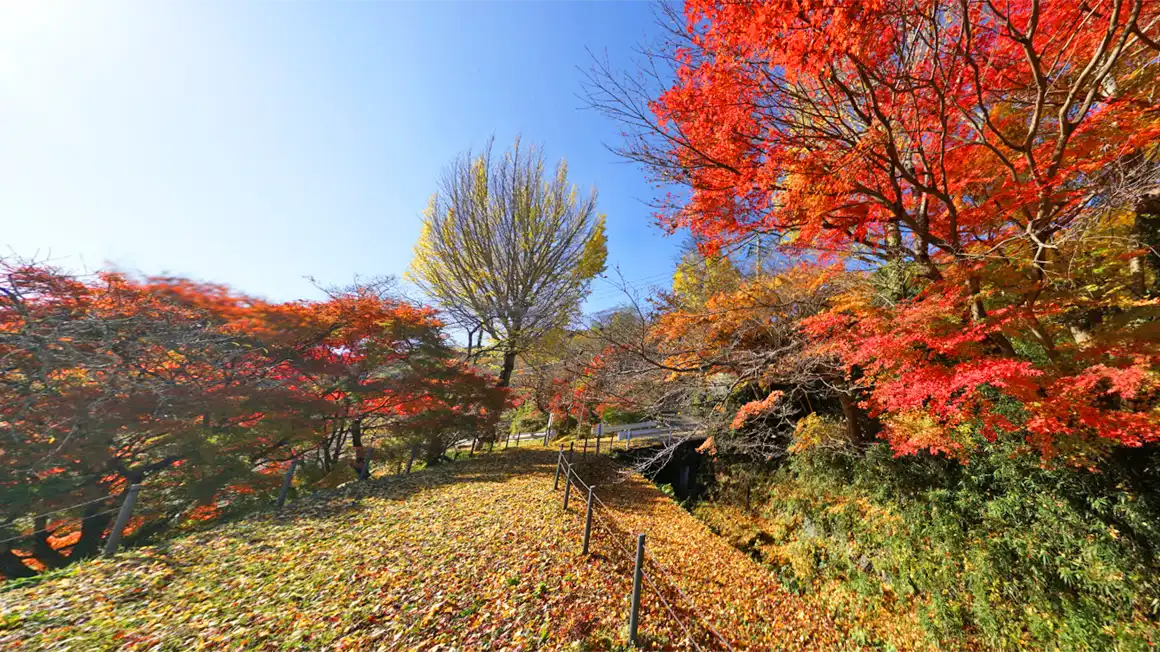 常陸太田市の旧町屋変電所の紅葉景観写真