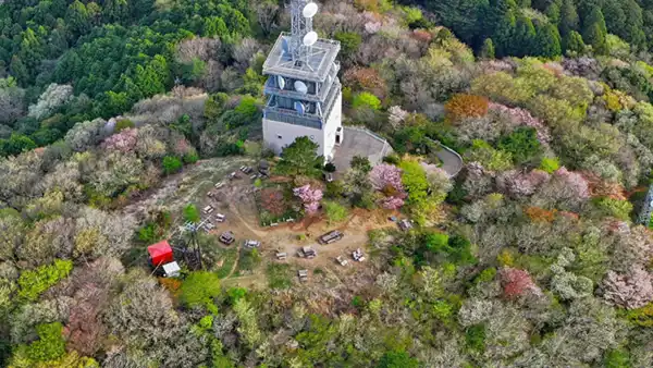 筑波山地の宝篋山の桜開花の空撮景観写真