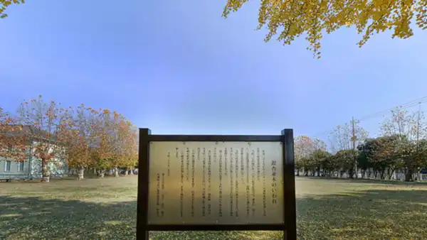 茨城県立歴史館のイチョウ並木の由来の説明板の写真