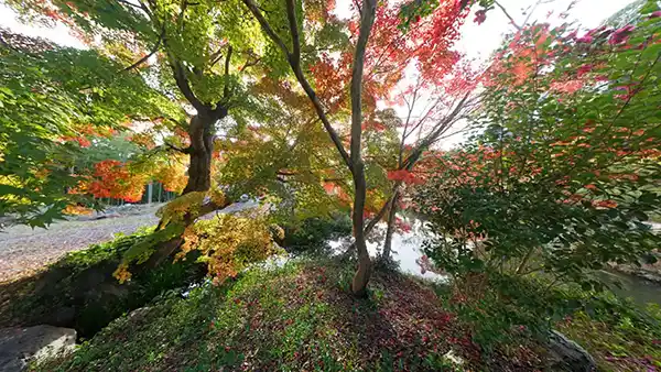 茨城県土浦市東城寺の池付近の紅葉観光VRツアー