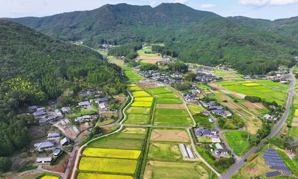 茨城県石岡市太田の彼岸花群生地