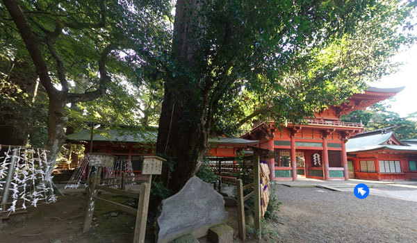 茨城県鹿嶋市の巨木観光名所の鹿島神宮