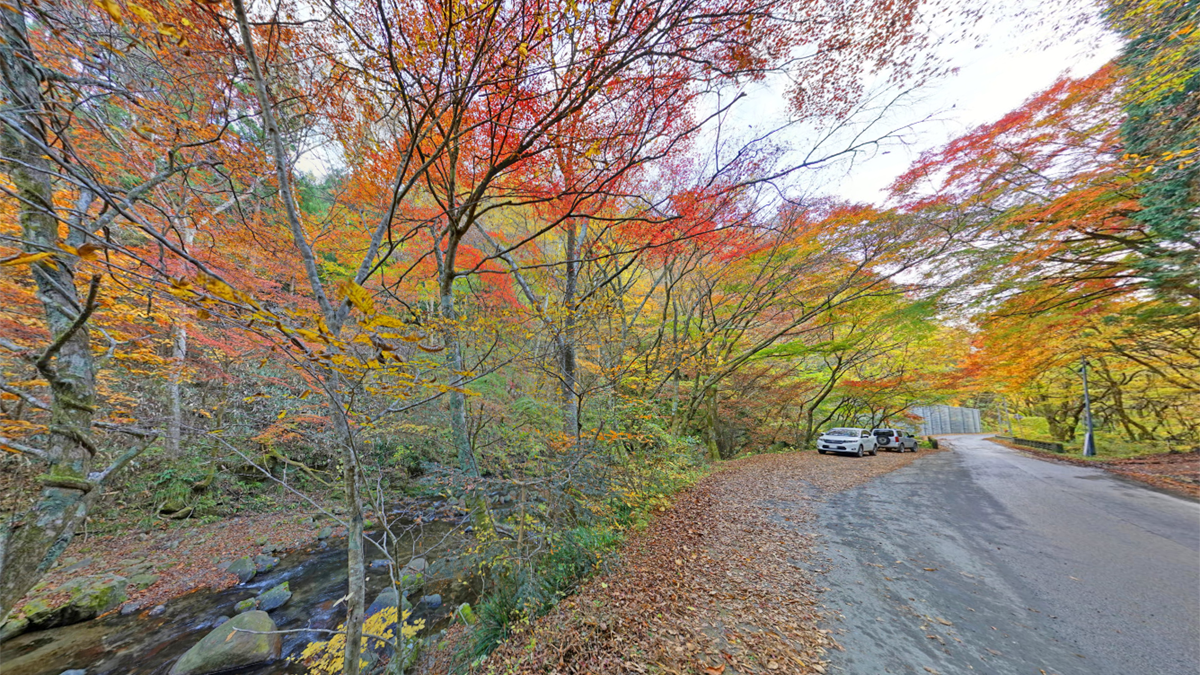 北茨城市のの紅葉景観写真