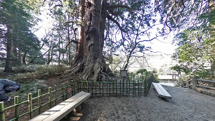 水戸市の偕楽園の吐玉泉と太郎杉の景観写真