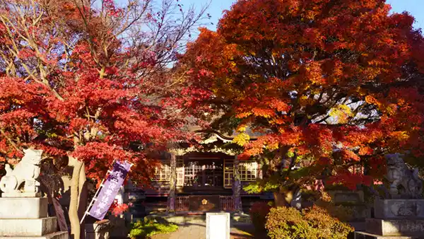 茨城県水戸市の桂岸寺の紅葉の写真