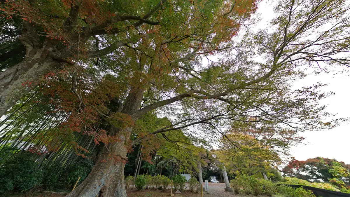 裂公御涼所と駐車場付近の紅葉景観写真