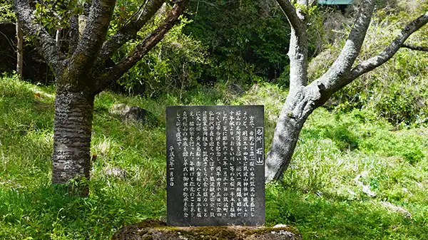 筑波山の桜山の桜の名所の記念碑の写真