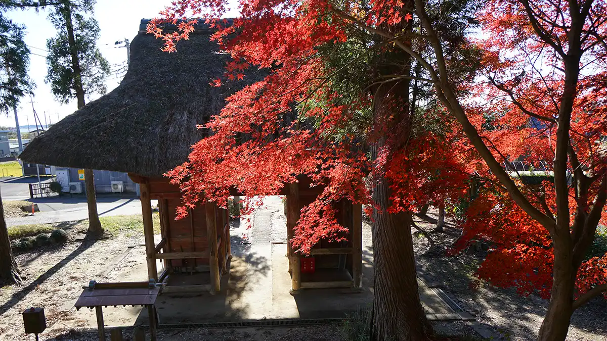萬福寺仁王門の紅葉の景観写真とVRツアーリンク