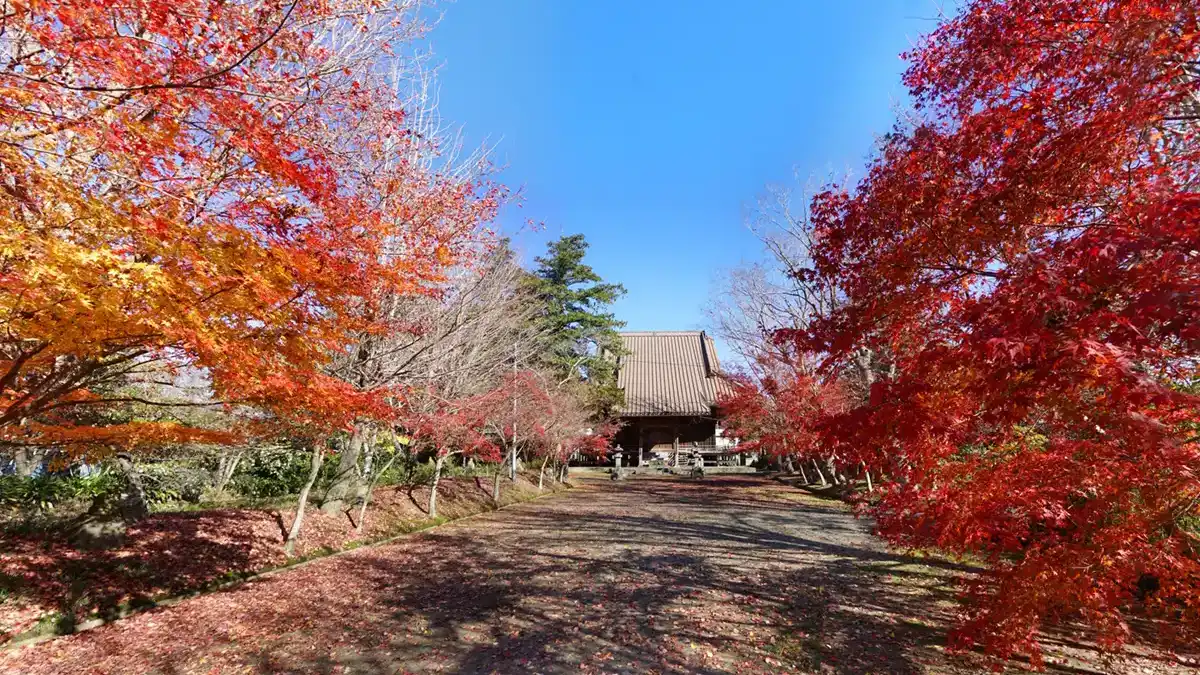 行方市の東福寺参道の紅葉の景観写真とVRツアーリンク