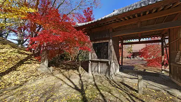 東福寺の山門と紅葉の景観とVRツアーリンク