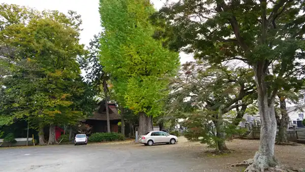 土浦市の常福寺のイチョウ・モミジの紅葉状況景観写真