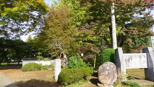 観音寺入口門柱付近のモミジ・大イチョウの紅葉状況