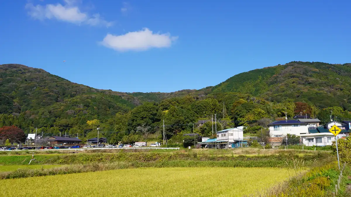 朝日峠・小町山・山麓等の斜面紅葉景観写真