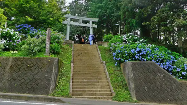 茨城県小美玉市の竹原神社のあじさい祭り景観写真
