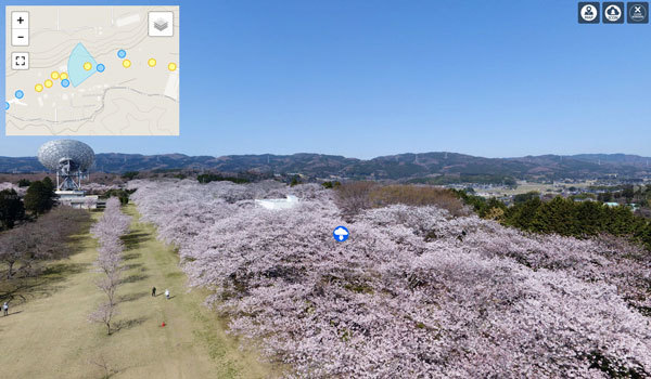 茨城県の桜 花見の名所 桜祭り観光スポット案内 茨城vrツアー