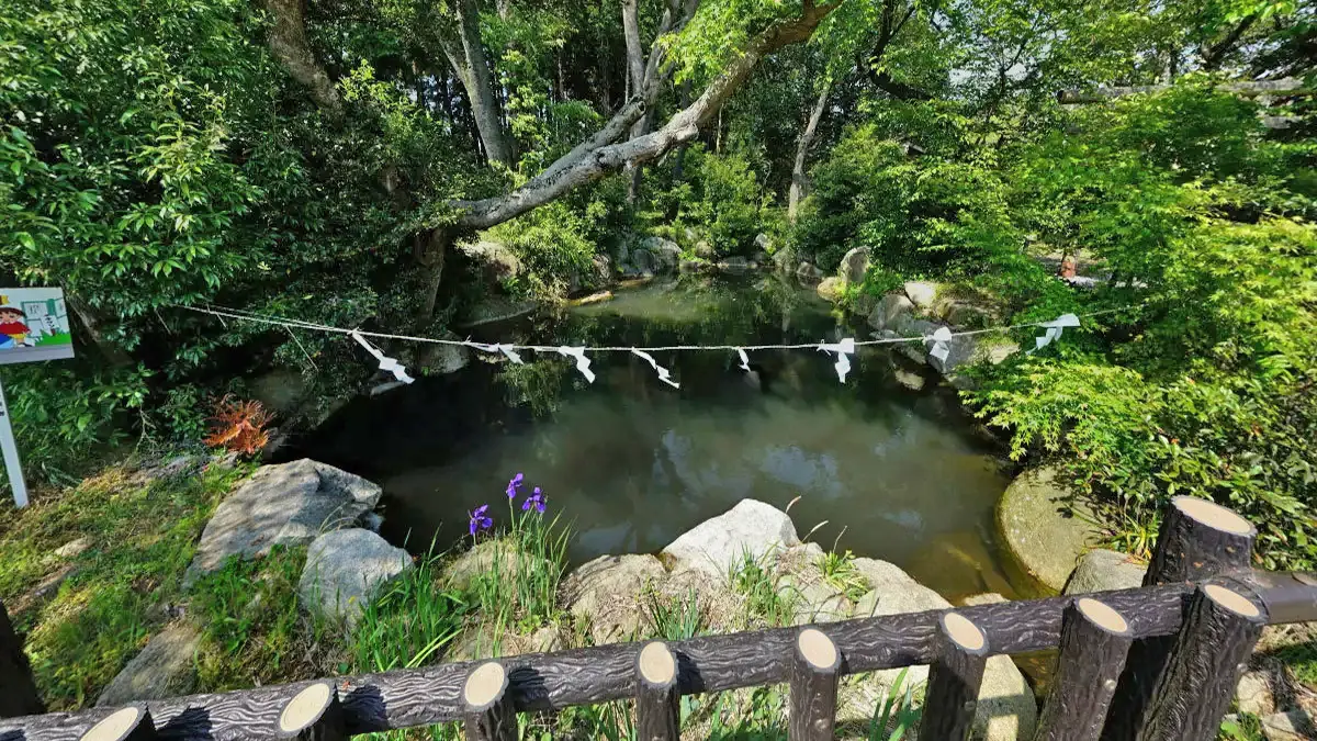 桜川市の尾御手洗池の景観写真とVRツアーリンク