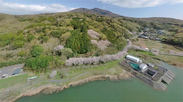 桜川市つくし湖と筑波山麓の空撮景観写真