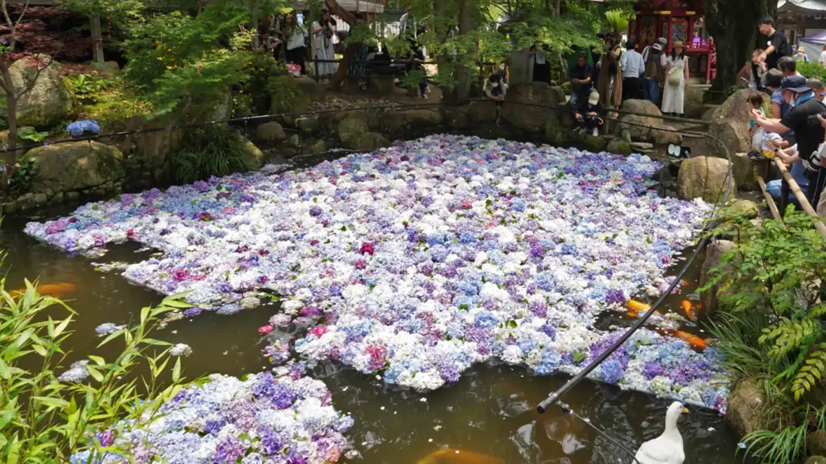 雨引観音・奥の院の池の花手水の景観写真とVRツアーリンク