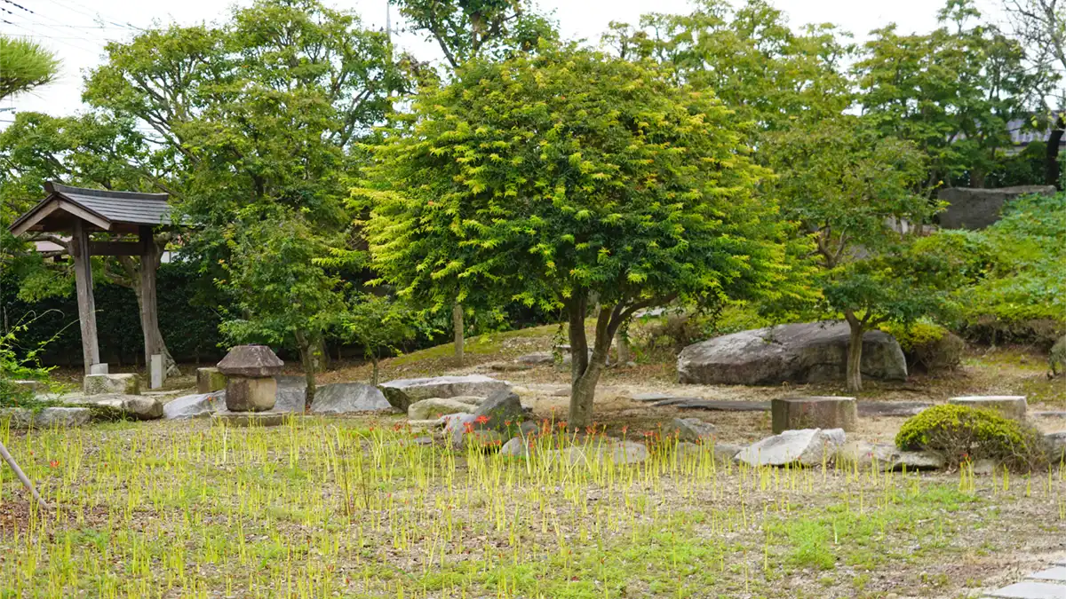 千妙寺の庭園の北側からの彼岸花開花の状況景観写真