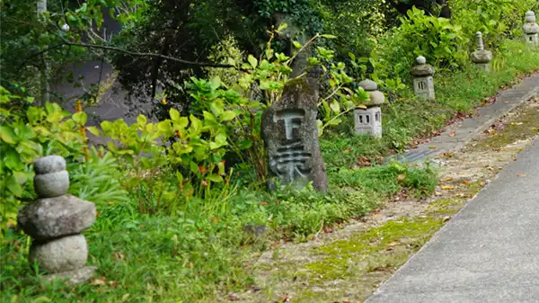 普門寺参道の彼岸花の様子写真