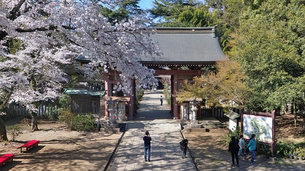 下妻市大宝八幡宮の山門の景観