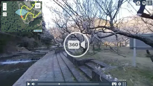 日立市観梅名所の諏訪梅林の観光VR動画